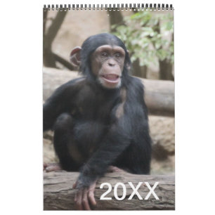 Mural Animaux Calendrier 20XX