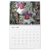 Mural Année des orchidées 2014 Calendrier des orchidées  (Mar 2027)