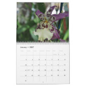 Mural Année des orchidées 2014 Calendrier des orchidées  (Jan 2027)