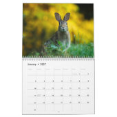 Mural Année Du Calendrier Du Lapin (Jan 2027)