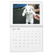 Mural argent de phil, le calendrier de Phil (Mar 2027)