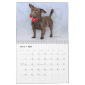 Mural Art de calendrier comportant des animaux d'abri (Mar 2027)