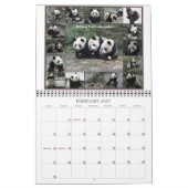 Mural Aventure de panda de la Chine - calendrier 2012 (Feb 2027)
