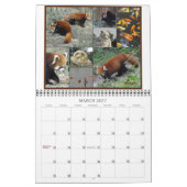 Mural Aventure de panda de la Chine - calendrier 2012 (Mar 2027)