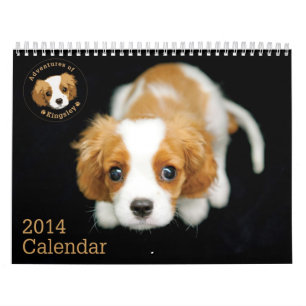 Mural Aventures de calendrier de Kingsley 2014