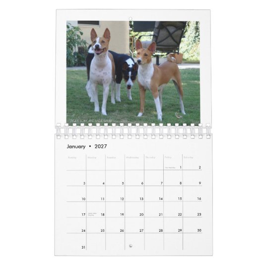 Mural Basenjis de calendrier de Socal 2010 (Jan 2027)