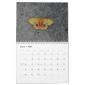 Mural Beau calendrier 2016 de mites (Mar 2027)