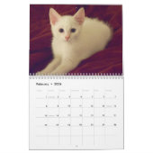 Mural Beau calendrier 2018 de photographie de variété (Feb 2026)