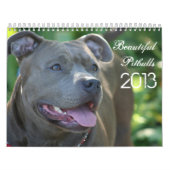 Mural Beau calendrier de chien de Pitbulls 2013 (Protection)