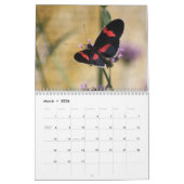 Mural Beau calendrier de papillons (Mar 2026)