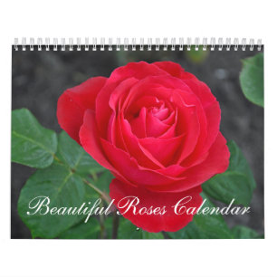 Mural Beau calendrier de roses