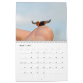Mural Beau calendrier des insectes 2016 (Mar 2027)