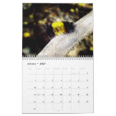 Mural Beau calendrier des insectes 2016 (Jan 2027)