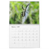 Mural Beau calendrier des insectes 2016 (Feb 2027)