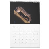 Mural Belles papillons et chenilles Calendrier (Mar 2027)