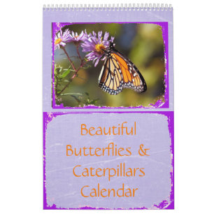Mural Belles papillons et chenilles Calendrier