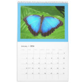 Mural Belles papillons et chenilles Calendrier (Jan 2026)