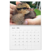 Mural Bird House & Barn Calendrier (Mar 2026)