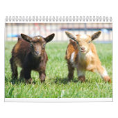 Mural Bird House & Barn Calendrier (Protection)