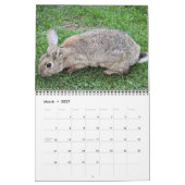 Mural Bonny Bunnies Calendrier des 12 mois 2016 (Mar 2027)