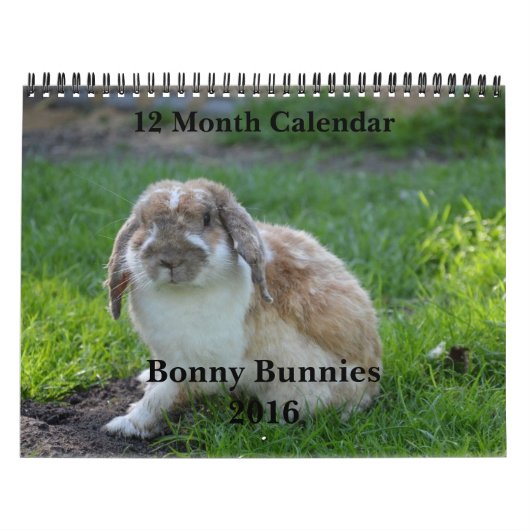 Mural Bonny Bunnies Calendrier des 12 mois 2016 (Protection)