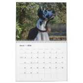 Mural Bouteur le calendrier de chien de thérapie (Mar 2026)