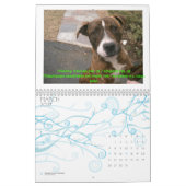 Mural C.A.T.S. Calendrier 2009 (Mar 2027)