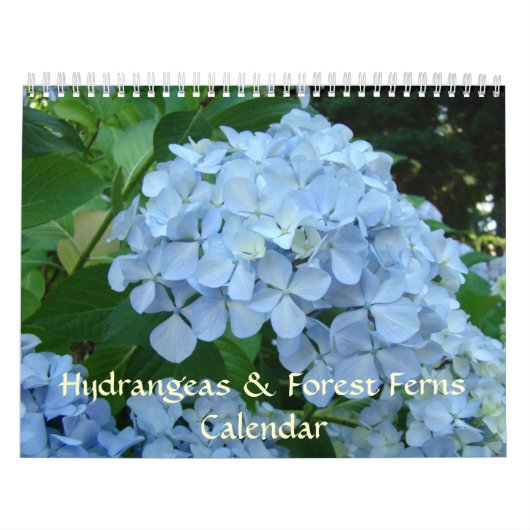 Mural Cadeaux de calendrier HYDRANDEAS & FORET FOUGERES (Protection)