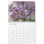 Mural Cadeaux de calendrier HYDRANDEAS & FORET FOUGERES (Mar 2027)