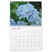 Mural Cadeaux de calendrier HYDRANDEAS & FORET FOUGERES (Jan 2027)