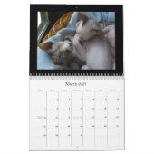 Mural Calendrier (Mar 2027)