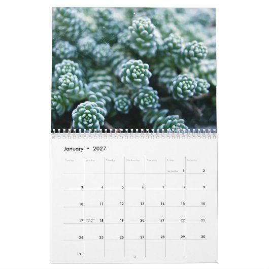 Mural Calendrier (Jan 2027)