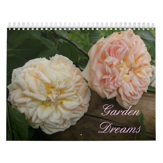 Mural Calendrier 18 mois (Protection)