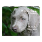 Mural Calendrier 1 de Weimaraner (Protection)