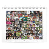 Mural Calendrier 2007 de Rat terrier (Protection)