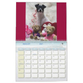 Mural Calendrier 2007 de Rat terrier (Feb 2027)