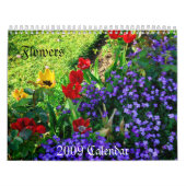 Mural Calendrier 2009, (Protection)