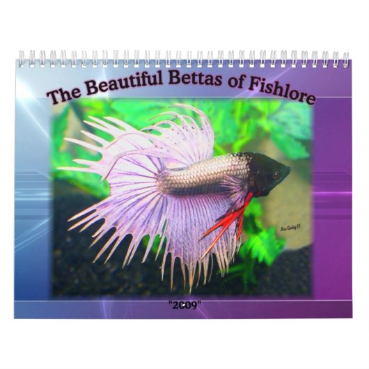 Mural Calendrier 2009 de poissons de Betta (Protection)