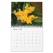 Mural Calendrier 2009 : Une année des orchidées d'Hawaï (Feb 2027)