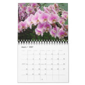 Mural Calendrier 2009 : Une année des orchidées d'Hawaï (Mar 2027)