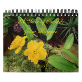 Mural Calendrier 2009 : Une année des orchidées d'Hawaï (Protection)