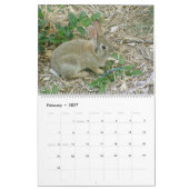 Mural Calendrier 2010-2011 de lapin de bébé (Feb 2027)