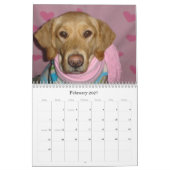 Mural Calendrier 2010 de Pawfile de chien (Feb 2027)