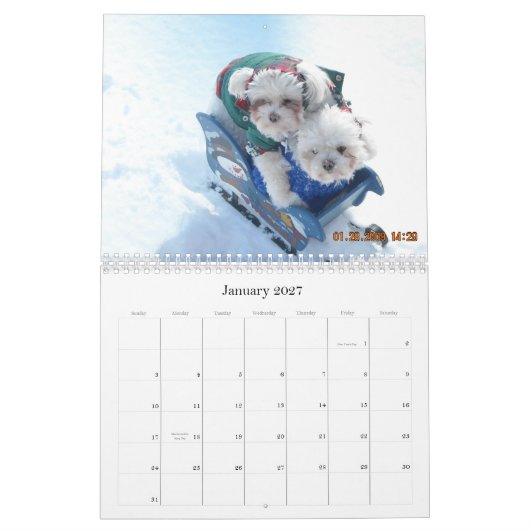 Mural Calendrier 2010 de Pawfile de chien (Jan 2027)