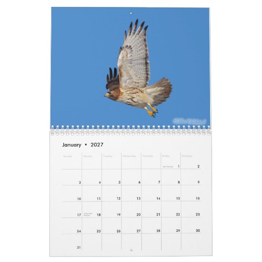 Mural Calendrier 2010 de Raptor (Jan 2027)