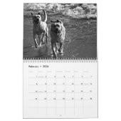 Mural Calendrier 2010 d'Oceandoggy (Feb 2026)