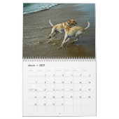 Mural Calendrier 2010 d'Oceandoggy (Mar 2027)