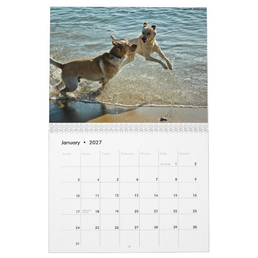 Mural Calendrier 2010 d'Oceandoggy (Jan 2027)