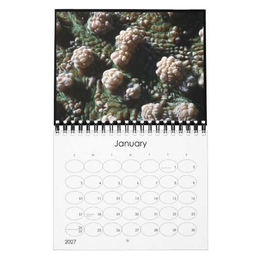 Mural calendrier 2010 sous-marin (Jan 2027)