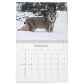 Mural Calendrier 2011 (Feb 2027)